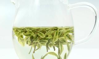 哪些白茶属于绿茶 白茶属于绿茶吗